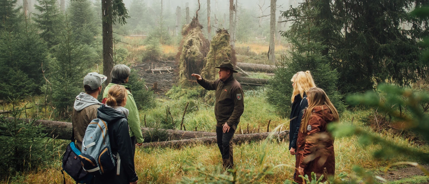 Waldwandel_Rangerfuehrung_02
