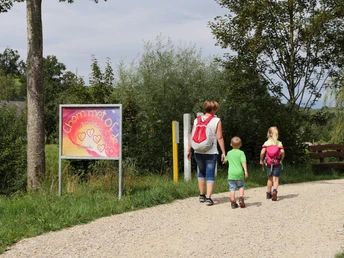 Der Chrüterhäxli Lilli Gwonderwäg