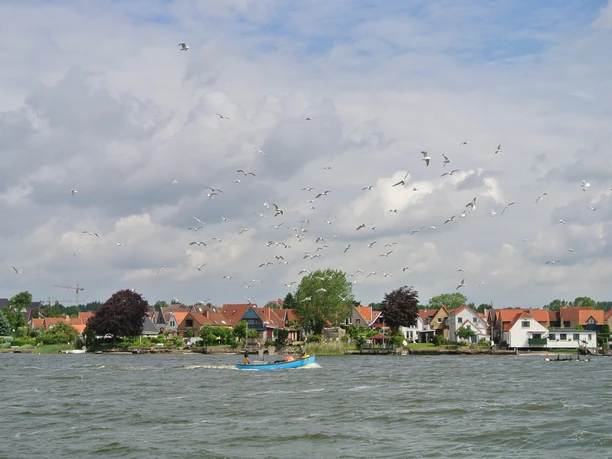 Fischerboot auf der Schlei