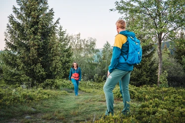 Wanderpaar inmitten von Beerensträuchern Wanderpaar inmitten von Beerensträuchern