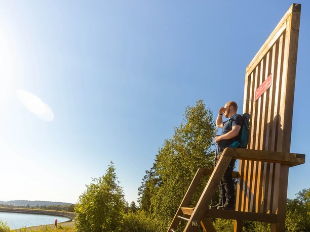 Wanderer auf dem großen Stuhl auf dem Ettelsberg Wanderer auf dem großen Stuhl auf dem Ettelsberg
