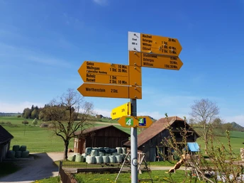 Der Weiler Elswil in der Nähe von Geiss