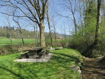 Ein kleiner Bach lädt zur Abkühlung ein