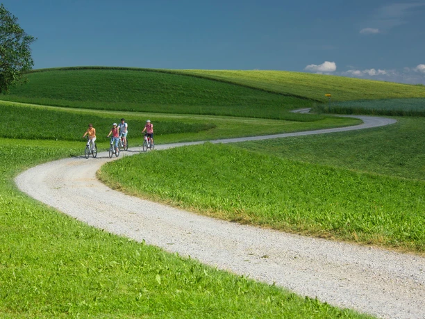 Vier E-Biker auf kurvenreichner Nebenstrasse in grüner Hügellandschaft.