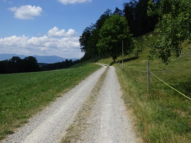 Unterwegs auf dem Grossen Sumiswalder im «Hügu Himu».