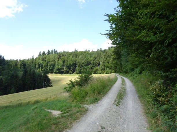 Unterwegs auf dem Grossen Sumiswalder im «Hügu Himu».