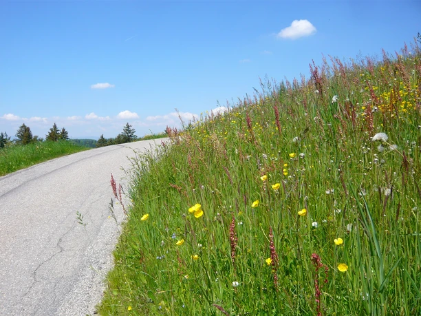Unterwegs auf dem Grossen Sumiswalder im «Hügu Himu».