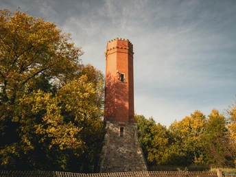 Bismarckturm in Schneeberg