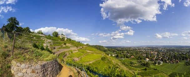 Radebeul Weinhänge