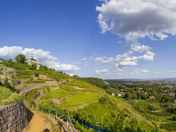 Wanderliebling RebkulTour in Radebeul - am Spitzhaus Radebeul Weinhänge