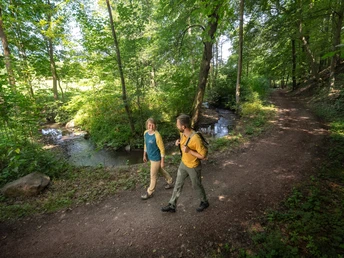 Flussmäander Kleine Triebisch bei Piskowitz