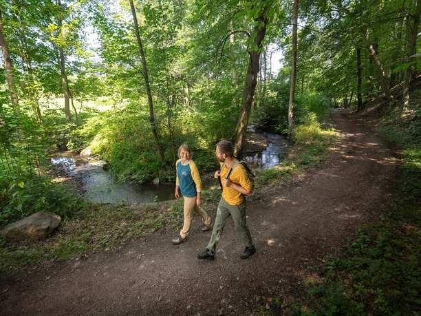 Flussmäander Kleine Triebisch bei Piskowitz
