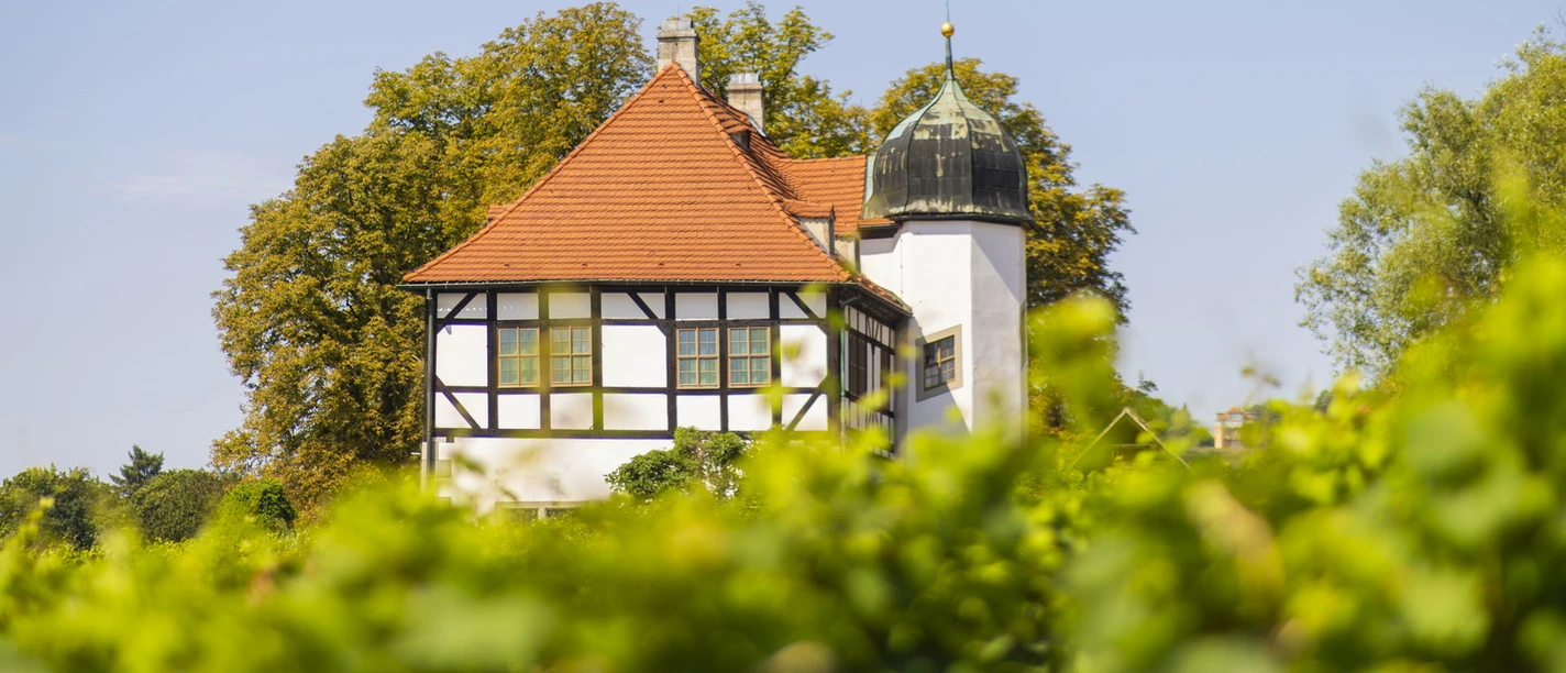 Weingut und Weinbaumuseum Hoflößnitz Radebeul