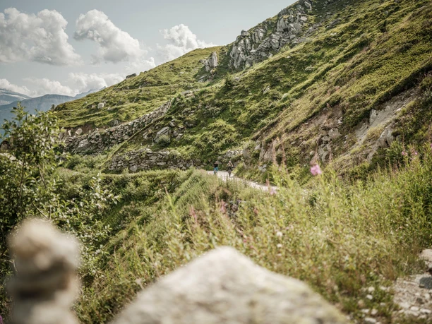 E-MTB Tour Fiesch - Fiescheralp - Märjela