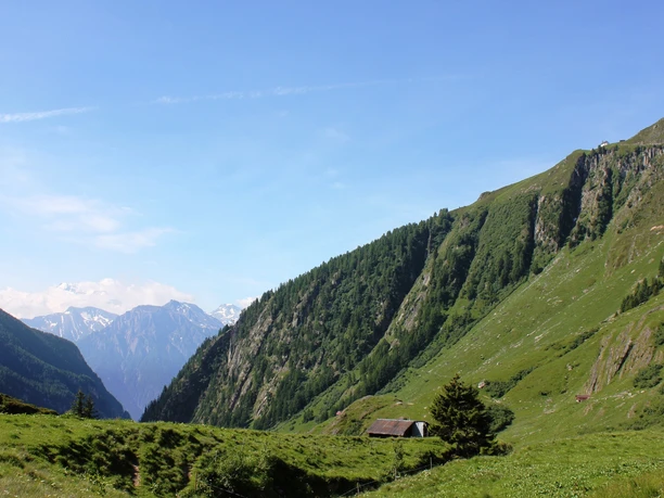 Wanderung von der Belalp über die Hängebrücke zur Riederalp