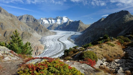 Rundwanderung von der Moosfluh via Märjelensee zur Riederalp