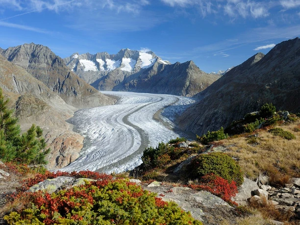 Rundwanderung von der Moosfluh via Märjelensee zur Riederalp