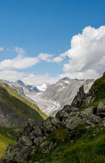 Fiescheralp - Burghütte Fieschertal - Aspi-Titter Hängebrücke - Bellwald