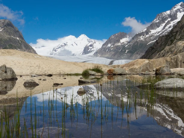 Fiescheralp - Burghütte Fieschertal - Aspi-Titter Hängebrücke - Bellwald