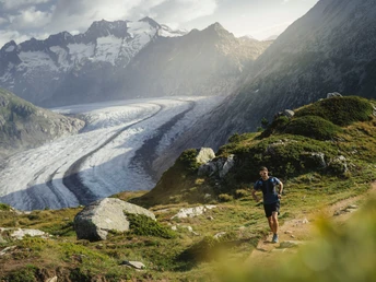 Bettmeralp - Fiescheralp - Märjela - Hohbalm - Bettmeralp