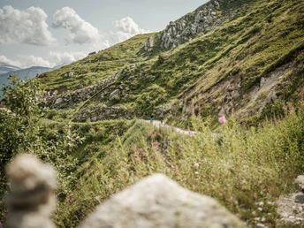 E-MTB Tour Fiesch - Fiescheralp - Märjela