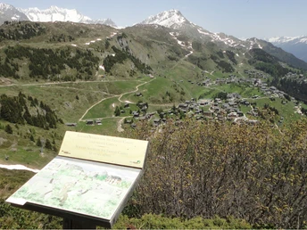 Themenweg Casselweg rund um das Riederhorn
