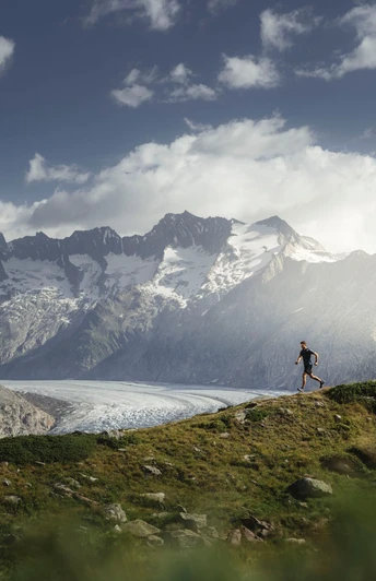 Bettmeralp - Bettmerhorn - Bettmeralp