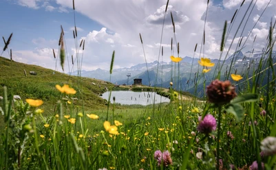 Fleschensee