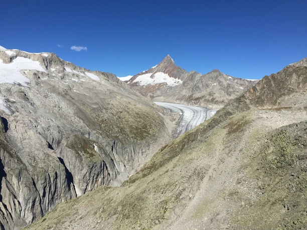 Aussicht Fieschergletscher