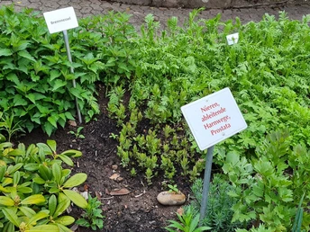 Rippoldsauer Kräutergarten
