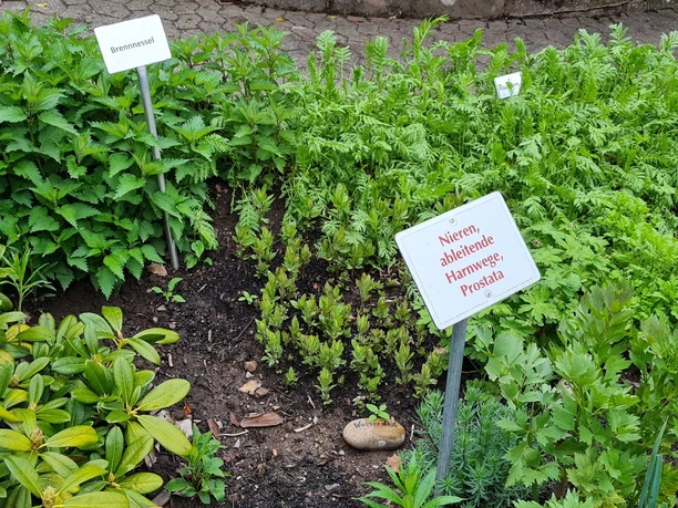 Rippoldsauer Kräutergarten