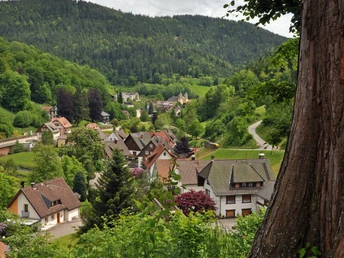 Ortsteil Bad Rippoldsau