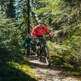 Mountainbiker auf einem Trail in Baiersbronn
