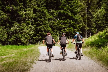 Mountainbiken in Baiersbronn