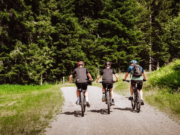 Mountainbiken in Baiersbronn