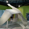 Nationalpark-Haus Greetsiel Große Holzskulptur einer fliegenden Gans mit Schaukel darunter in einer modernen Ausstellungshalle.