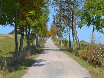 Lärchenstraße unten