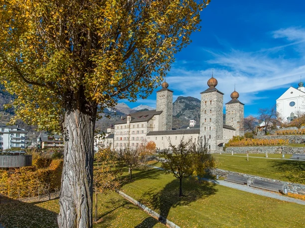 Blick über den Brigerberg