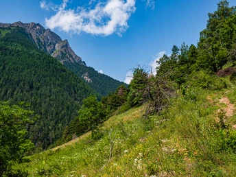 Grund Blick aufs Glishorn
