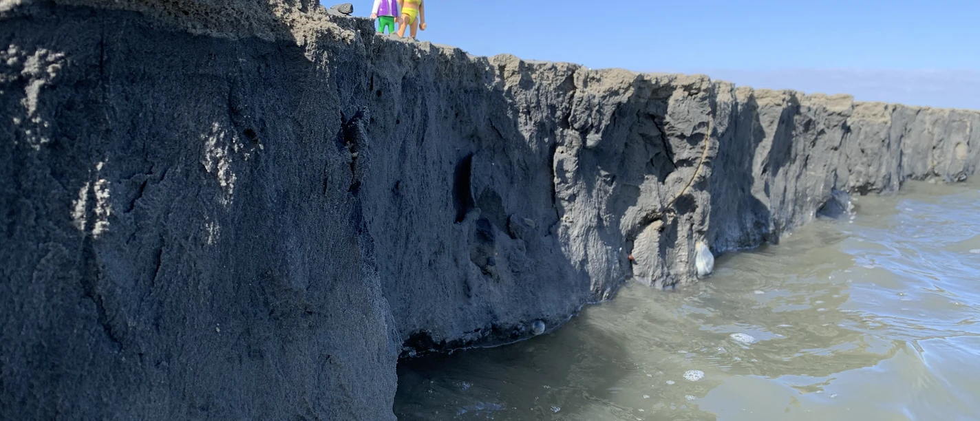 Wattsafari_Schillig.jpeg Zwei menschliche Figuren schauen in wasserführenden Priel