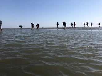 IMG_3522.jpeg Gruppe Wattwandernder durchquert den Priel (wasserführende tiefe Stelle im Watt)