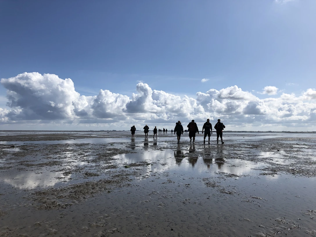 Wattwanderung zum Jadefahrwasser.jpeg wattwandernde Personen auf leicht mit Wasser bedeckter Wattfläche