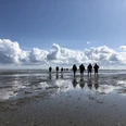 Wattwanderung zum Jadefahrwasser.jpeg wattwandernde Personen auf leicht mit Wasser bedeckter Wattfläche