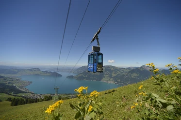 Luftseilbahn Niederbauen
