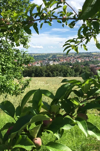 Ein Blick auf Büren