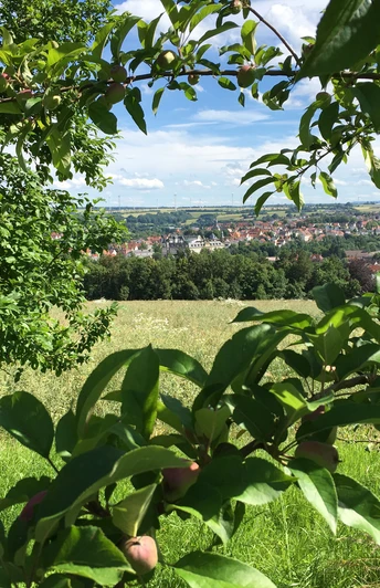 Ein Blick auf Büren Ein Blick auf Büren