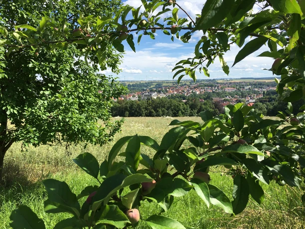 Ein Blick auf Büren Ein Blick auf Büren