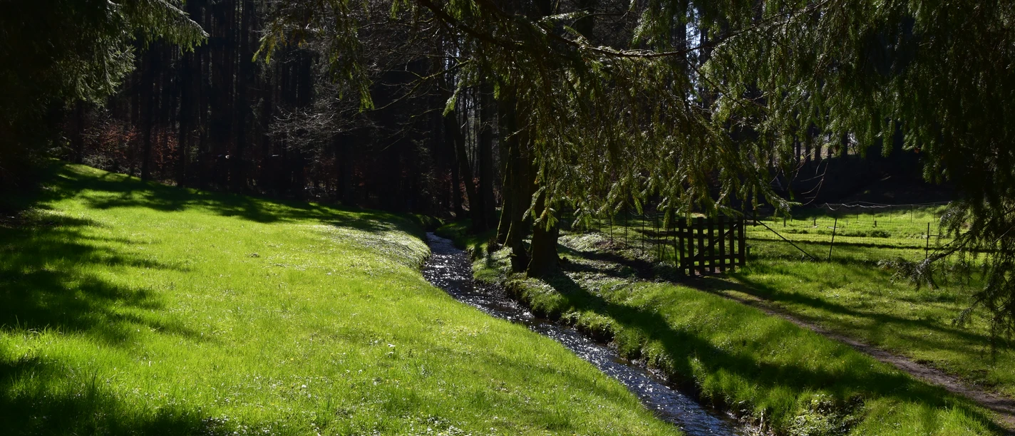 Bachlauf bei Siddinghausen