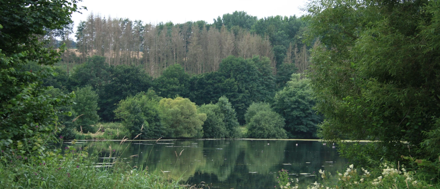 Keddinghäuser See Keddinghäuser See