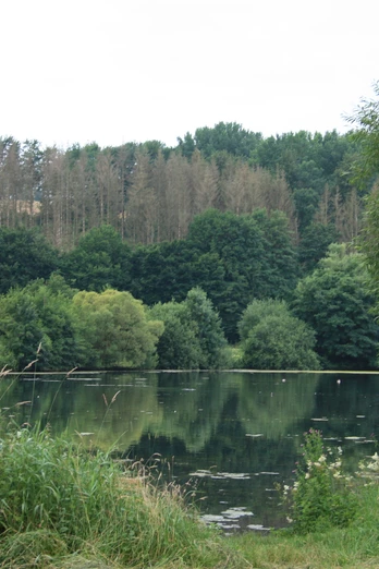 Keddinghäuser See Keddinghäuser See